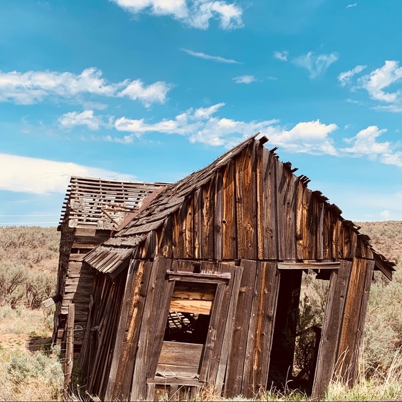 Sharing Oregon 🧡 - Picture 6 of 16